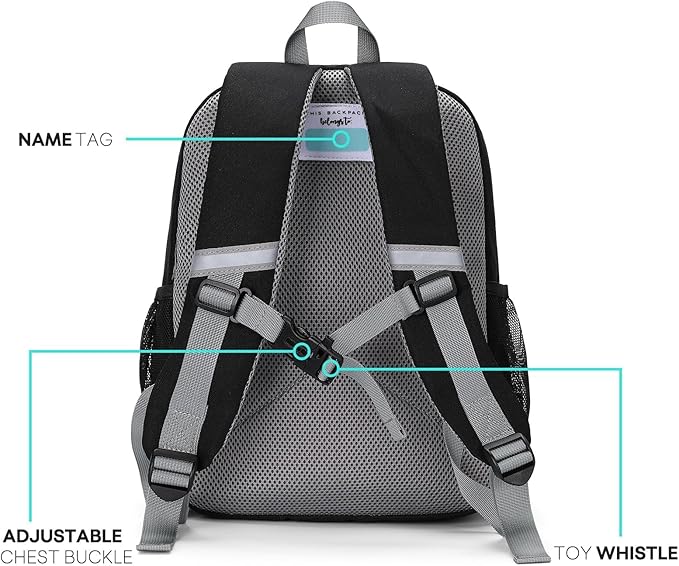 mibasies Kids Backpack for Boys 4-6: Boys Backpacks for Elementary Kindergarten