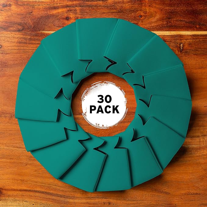 Blank Beer Can Coolers Sleeves (30-Pack) Soft Insulated Beer Can Coolies - HTV Friendly Plain Koolies in Bulk for Beer Cans & Bottles - Coolie Blanks for Vinyl Projects & Wedding Favors (Teal)
