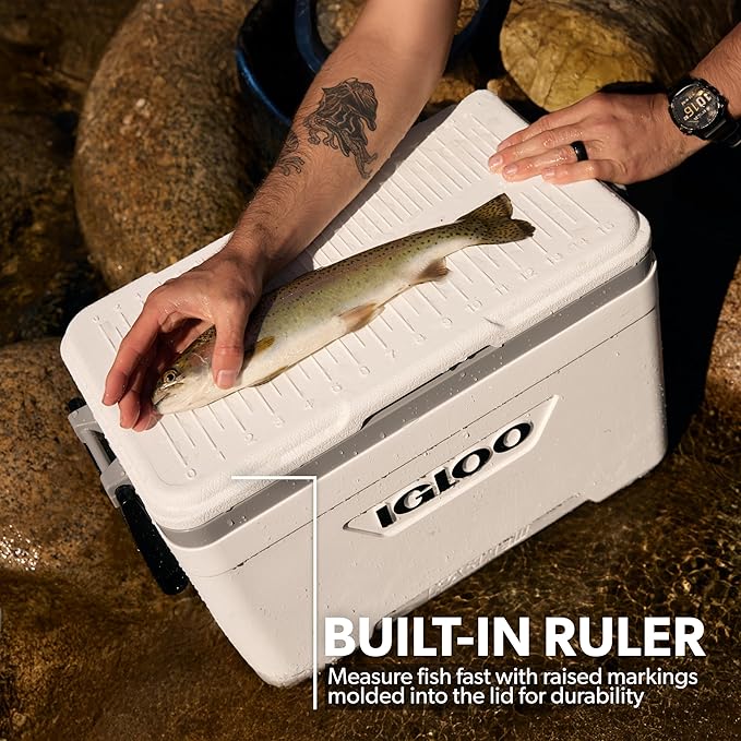 Igloo Marine Cooler | Insulated Hard Shell Ice Chest |Great for Fishing, Camping, Boating, & More