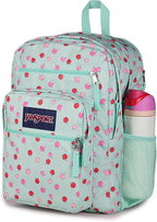 JanSport Laptop Backpack - Computer Bag with 2 Compartments, Ergonomic Shoulder Straps, 15” Laptop Sleeve, Haul Handle - Apple Orchard