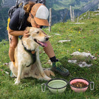Large Dog Bowl Pet Collapsible Bowls, 2 Pack Collapsible Dog Water Bowls for Cat Dogs Portable Pet Feeding Water Dish for Walking Parking Traveling with 2 Carabiners (Large, Fairy pink & Sprout Green)