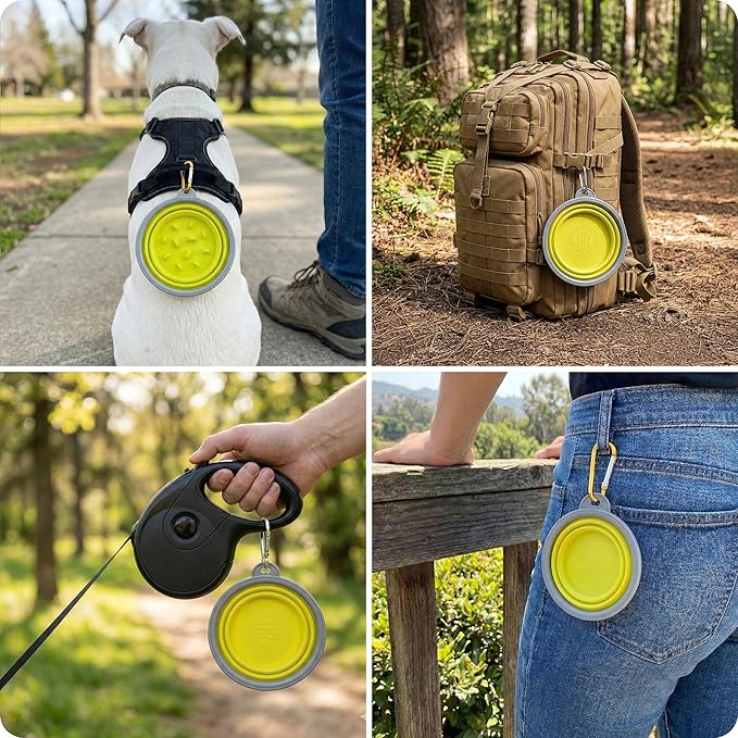 American Kennel Club 2-Pack Collapsible Travel Bowls for Dogs – Gray/Green, Portable Food & Water Bowls
