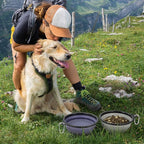 Dog Bowl Large Pet Collapsible Bowls, 2 Pack Collapsible Dog Water Bowls for Cats Dogs Portable Pet Feeding Water Dish for Walking Parking Traveling with 2 Carabiners (Large, Purple & Concrete Gray)
