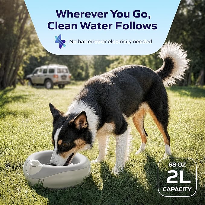 Maxi Filtered Dog Water Bowl, 2L/68oz — No Power or Batteries Needed, Auto-Refill, No Spill, Portable Travel Lock, Carbon Filter, BPA-Free, Dogs & Cats