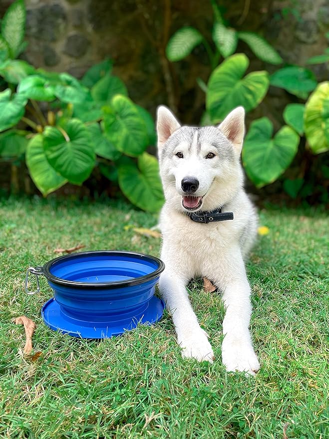 Tuff Pupper SuperBigSlurp Collapsible Dog Bowls | Two Pack Bowls | Extra Large Capacity | Portable, Food Safe, Odorless | Non-Toxic Silicone [Two Pack Blue Bowls 100oz]