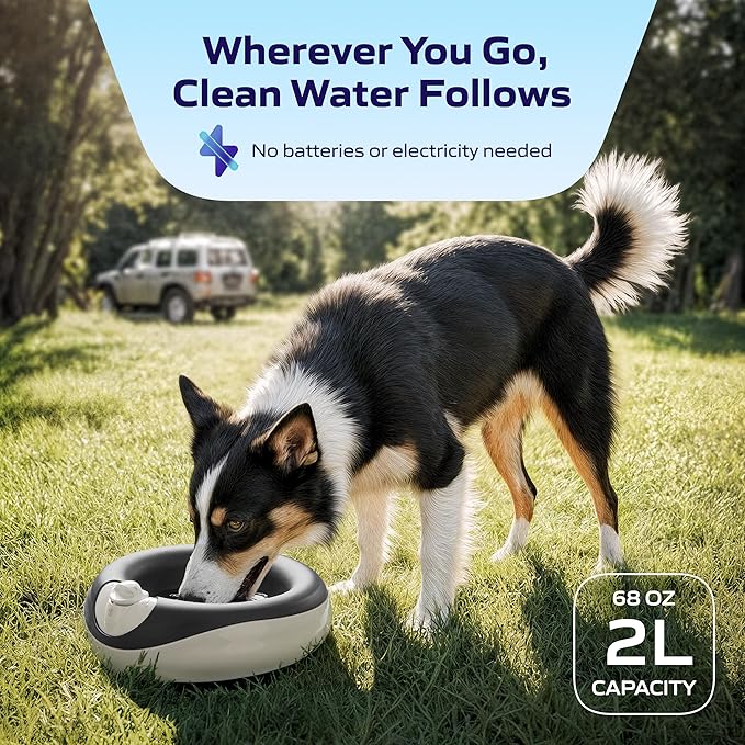 Maxi Filtered Dog Water Bowl, 2L/68oz - No Power or Batteries Needed, Auto-Refill, No Spill, Portable Travel Lock, Carbon Filter, BPA-Free, Dogs & Cats