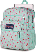 JanSport Laptop Backpack - Computer Bag with 2 Compartments, Ergonomic Shoulder Straps, 15” Laptop Sleeve, Haul Handle - Apple Orchard
