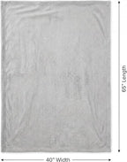 EverSnug Travel Blanket and Pillow - Ultra-Soft, Compact & Lightweight, 65x40 Inches, with Carry Case, Luggage Sleeve & Backpack Clip for Airplane Comfort (Light Grey)
