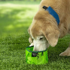 Nite IZE RadDog Collapsible Dog Bowl, Lightweight Food and Water Bowl