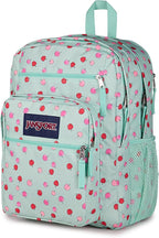 JanSport Laptop Backpack - Computer Bag with 2 Compartments, Ergonomic Shoulder Straps, 15” Laptop Sleeve, Haul Handle - Apple Orchard