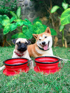 Tuff Pupper SuperBigSlurp Collapsible Dog Bowls | Two Pack Red Bowls | 40oz Extra Large Capacity | Portable, Food Safe, Odorless | Non-Toxic Silicone