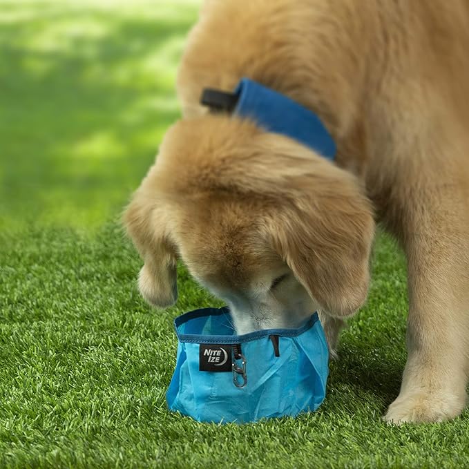 Nite IZE RadDog Collapsible Dog Bowl, Lightweight Food and Water Bowl