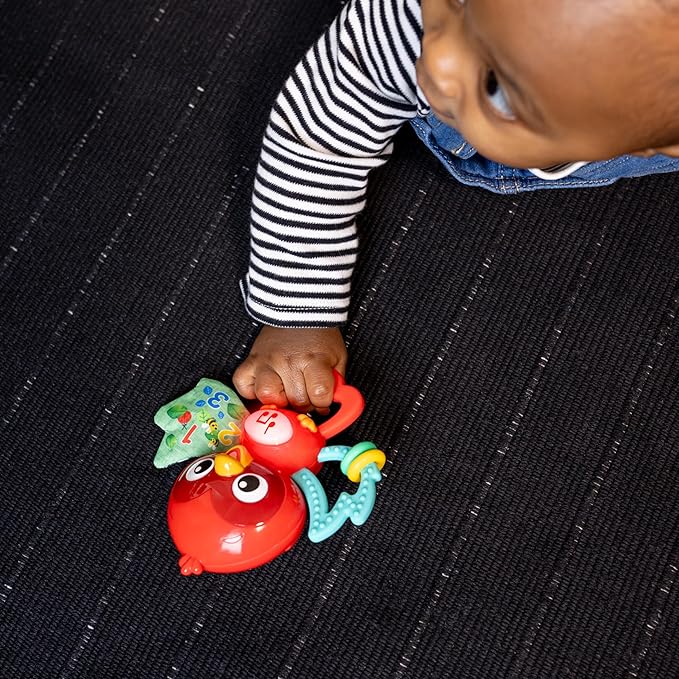 Baby Einstein Roxys Bright Flight Musical Baby Toy & Teether, Plays Real Bird Sounds with 10+ Melodies, Multisensory, Ages 3 Months and Up