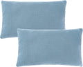 Marrywindix Tiny Pillow 2 Pack Small Decorative Pillow 9.5 x 5.5 in Tiny Travel Pillows Soft Pet Pillow for Camping Travel Sleeping Bed Sofa Neck Knee Wrist Support (Blue)