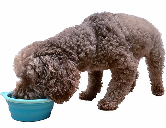 Sale: Prima Pet Collapsible Silicone Water Travel Bowl with Clip for Dog and Cat, Portable and Durable Pop-up Feeder for Convenient On-the-go Feeding – Size: Small (1.5 Cups) Aqua –2 Pack