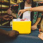 Igloo Classic Playmate Coolers | Insulated Hard Shell Cooler Chest