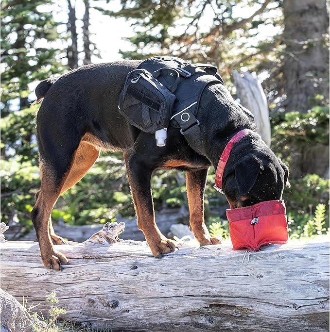 Kurgo Zippy Bowl for Dogs, Collapsible Travel Dog Bowls, Pet Food & Water Hiking Container, Food Grade Silicone, Travel Accessories for Pets, Includes Carabiner, Holds 48 oz (Barn Red)