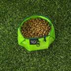 Nite IZE RadDog Collapsible Dog Bowl, Lightweight Food and Water Bowl